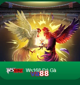 va88